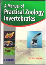 A MANUAL OF PRACTICAL ZOOLOGY INVERTEBRATES