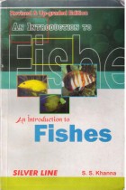 AN INTERODUCTION TO FISH